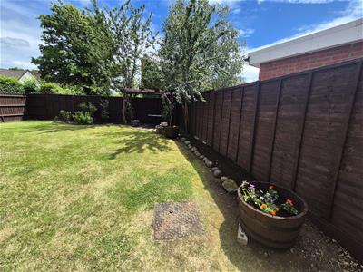 Picture 19
